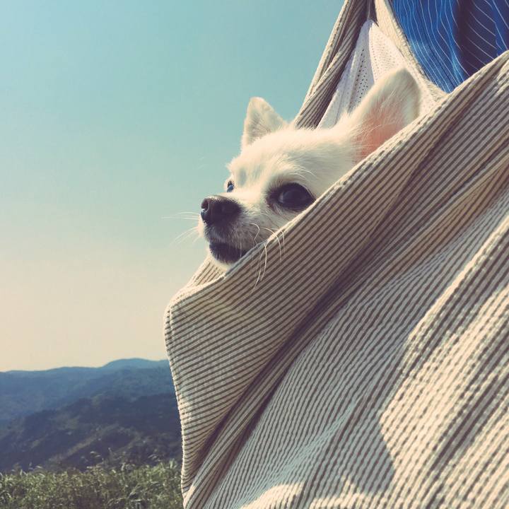 4c5bec79 075c 4d24 8ec4 b1797e4ac80a