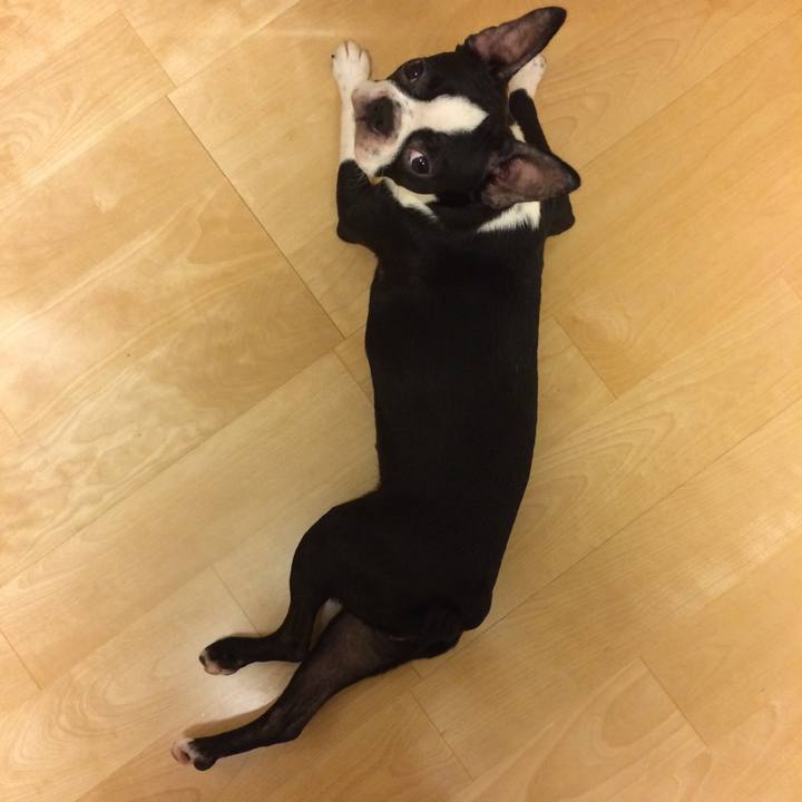 4c5beff1 ba44 404f ac7e b53cf53c1c88