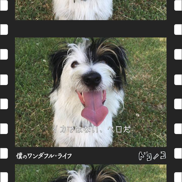 4c5c24ef a157 401b a3b4 b677abe96b83