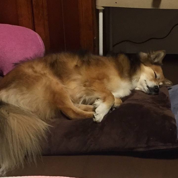 4c5c4c12 27aa 4897 ad37 9a2823a2130b