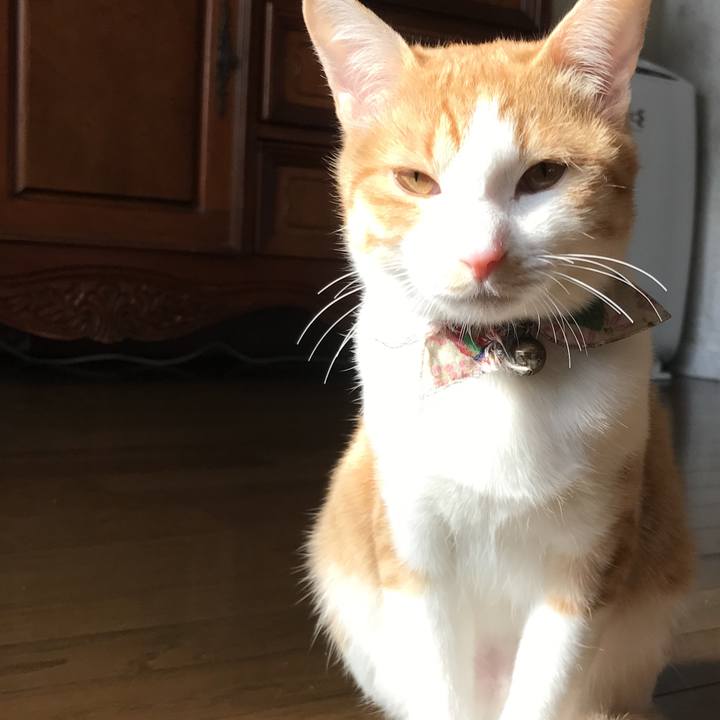 4c5cf46f f1c5 48ef ba1e b8f552574208