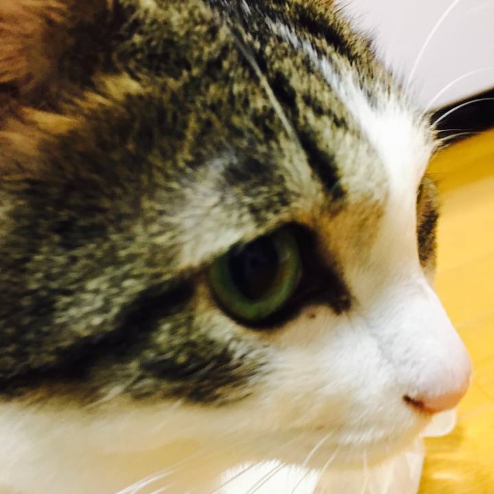 4c5cf6e0 39a9 4c4b b40a facdb4354ea2