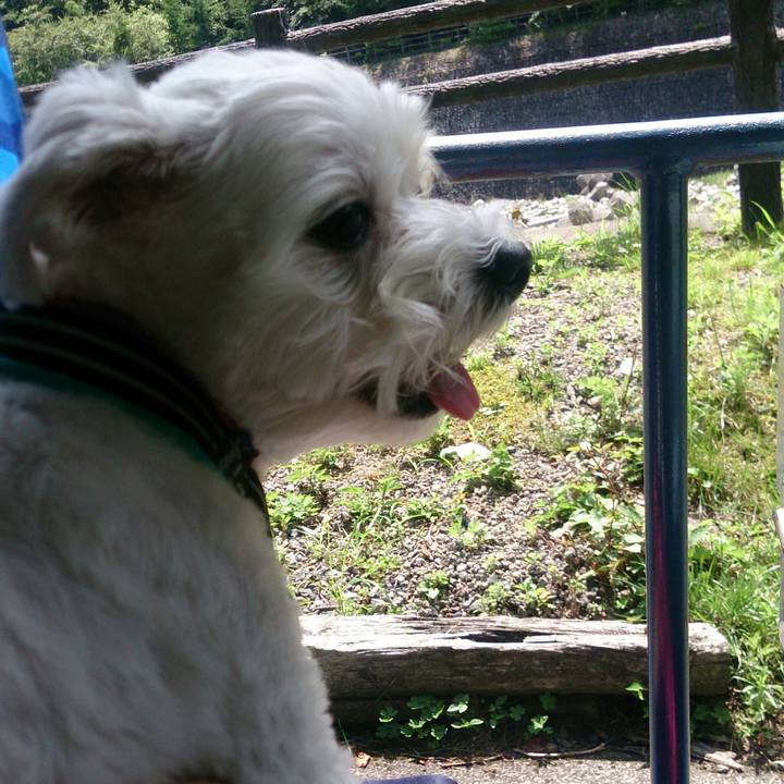 4c5d0b37 8621 48f6 8349 0960886268a4