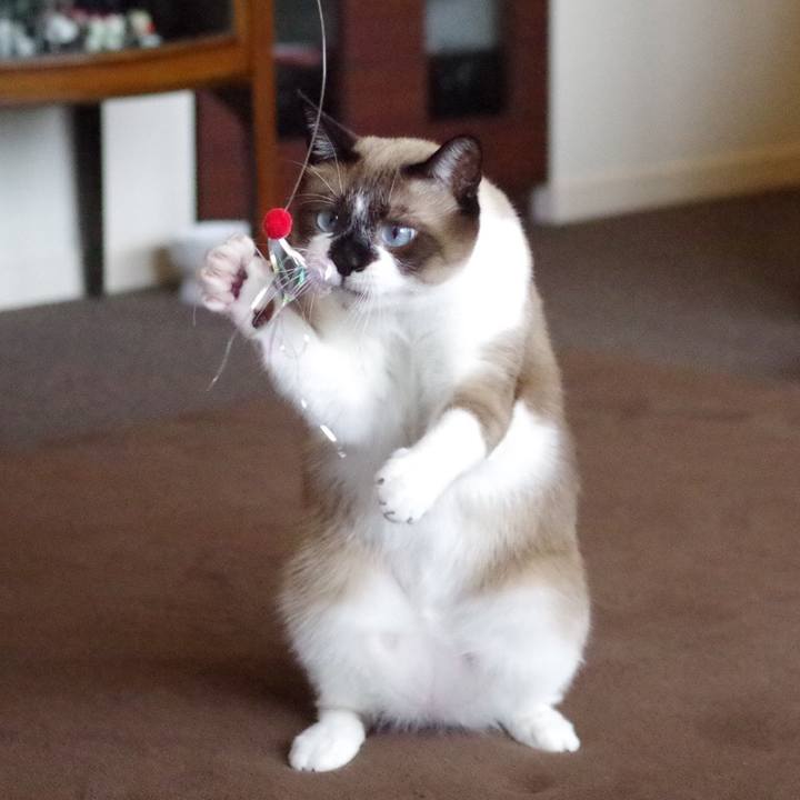 4c5d3158 79fd 42e2 a84b 82ecd89ba2e8