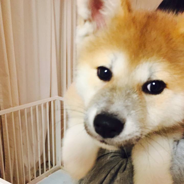 4c5e4c66 8c41 4deb a46d 78c92f023749