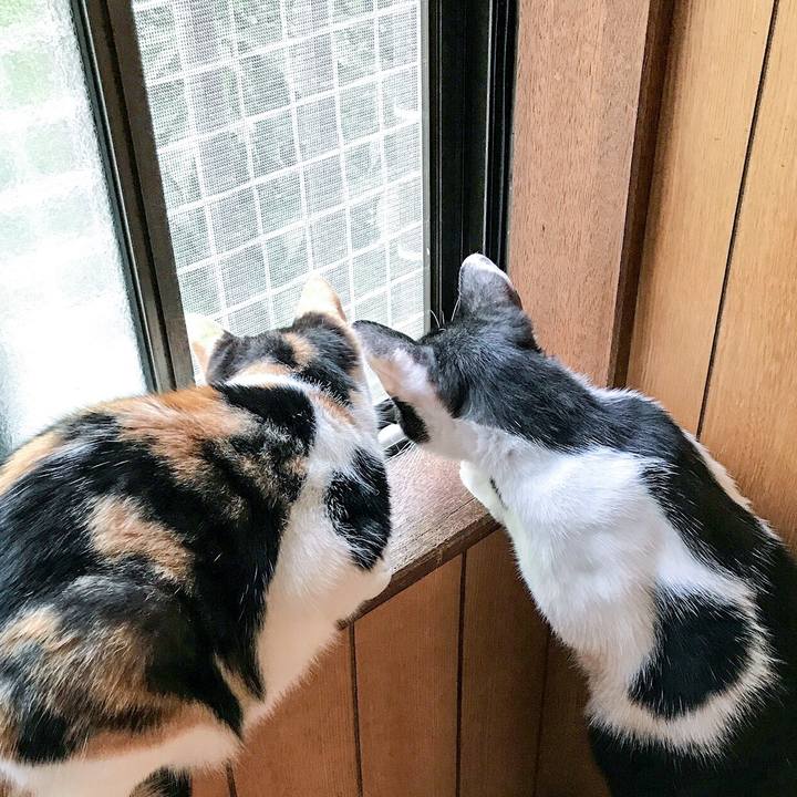 4c5e777f 504c 46a6 9d44 2fb1986cc651