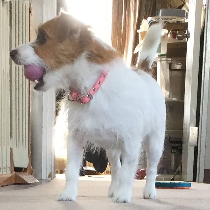 4c5ec214 efd6 4e8a 9d84 b6a3a9a817e7