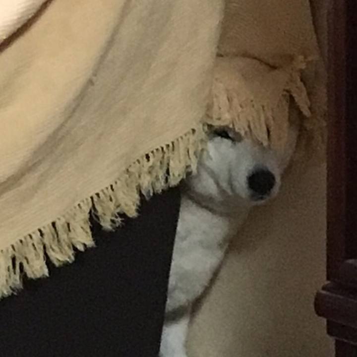 4c5ecf83 a427 4f34 92bb c91abb7f5803