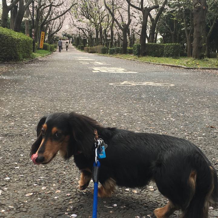 4c5f25c6 2a18 4a53 a3ac 98a0d1d52090