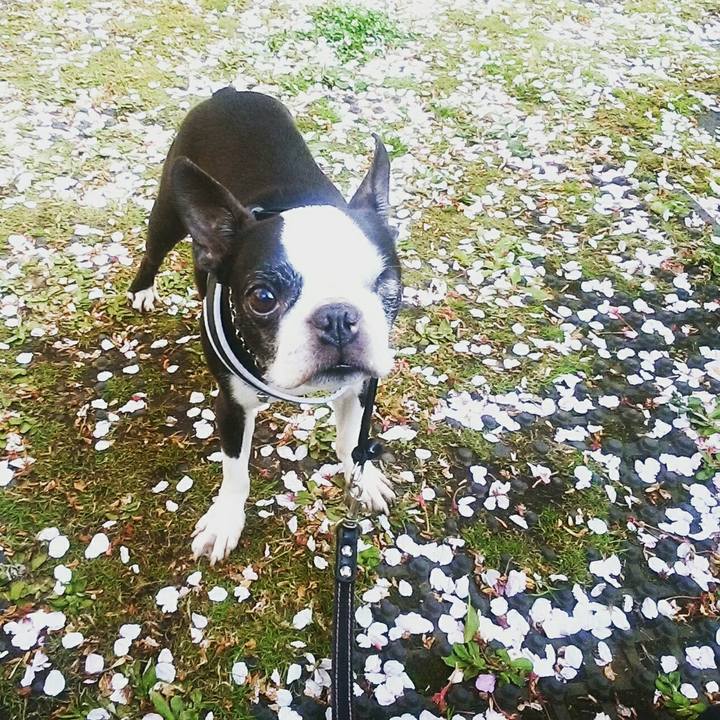 4c5fbc91 3e73 408f b75e 6b2ed4625c7f