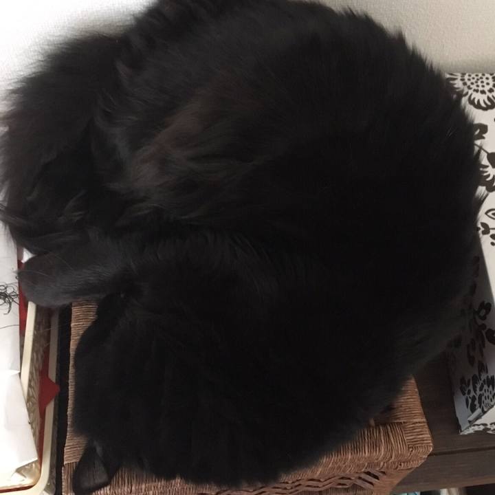 4c5fd3a9 4ed2 47f1 96e5 bfe913fbc0ec