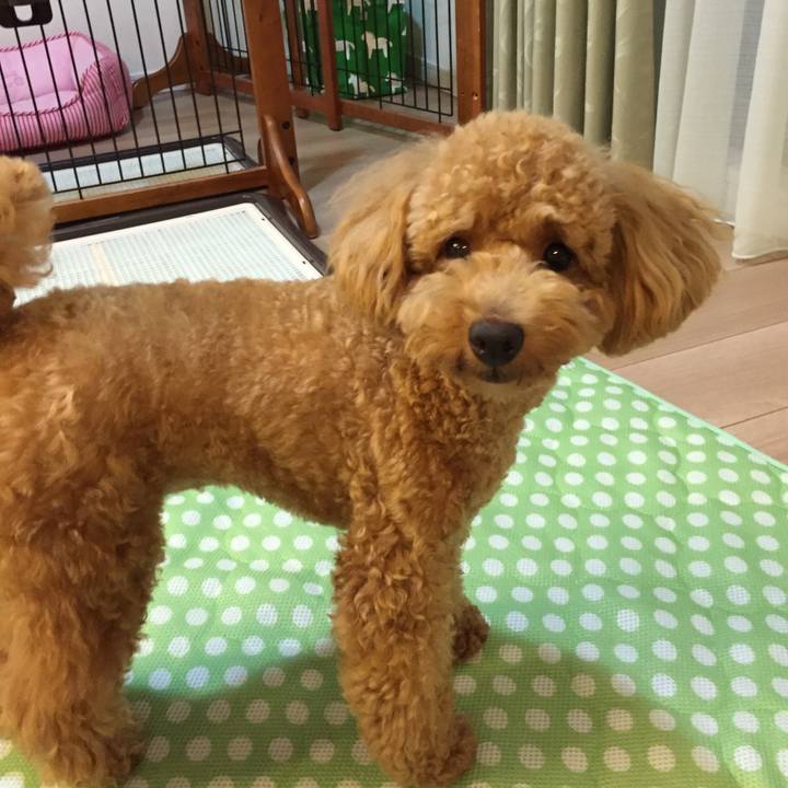 4c5fe6f2 6855 4eec b777 65b638edc050