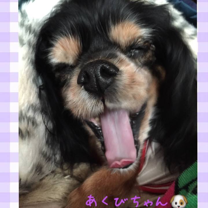 4c5ff260 60f0 43c0 9612 777c5bb15141