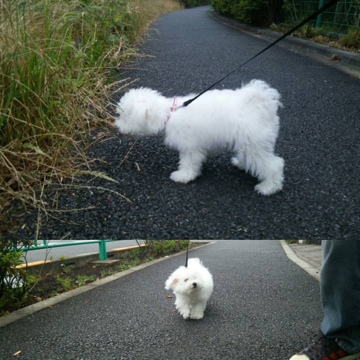 4c611fa3 792f 420f b8b6 0dc91a8d69bf