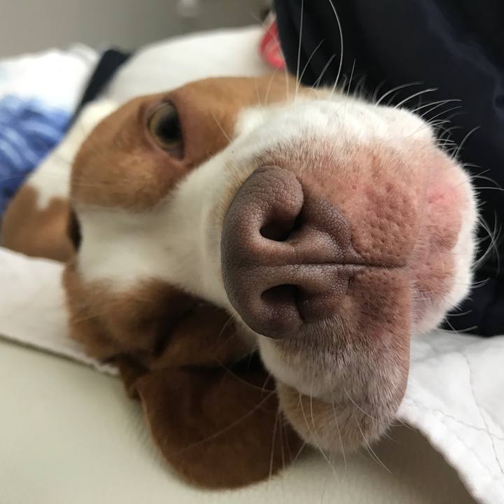 4c618772 620f 496c b270 9dfdd4a3f490