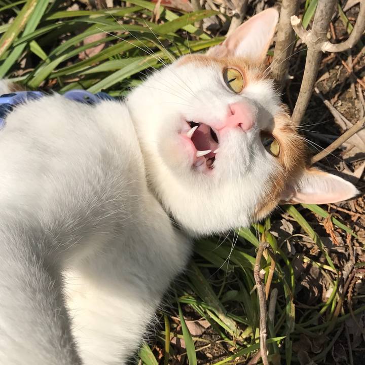 4c626ee5 b2ff 4121 a686 3d4c85a38dc7