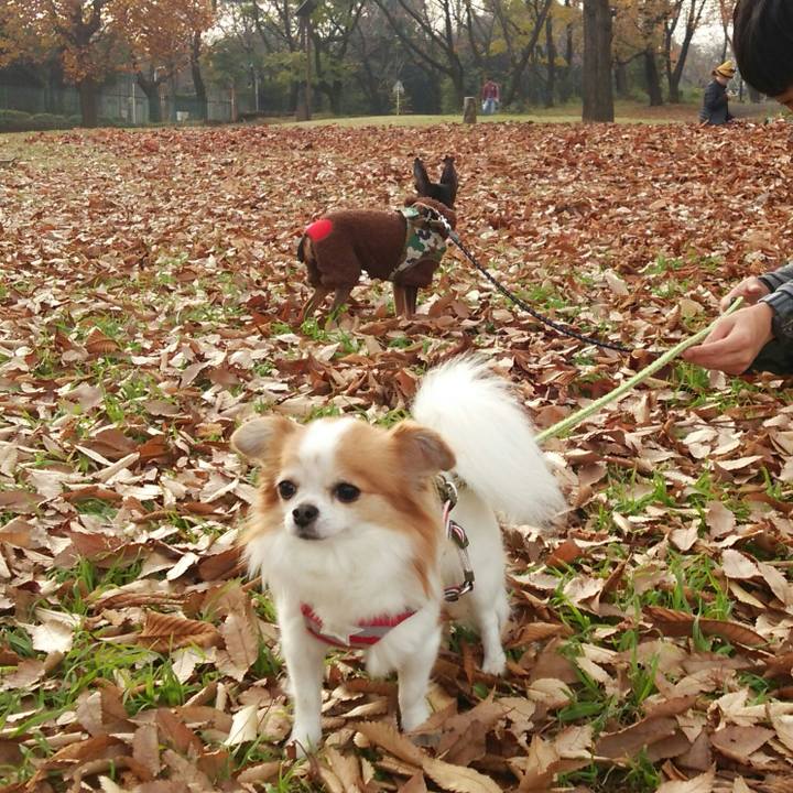 4c62715d bcc3 43af b80d c3bb5423b18f