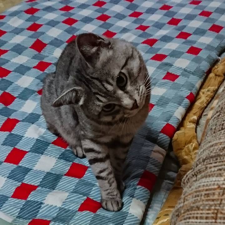 4c627bd9 d2b1 4e70 9081 ed768192c90e