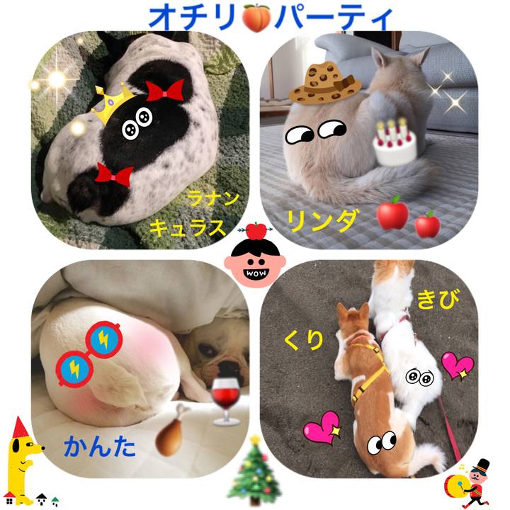 4c62f32e 3861 42c2 b6a1 d25a2fdcfdf7