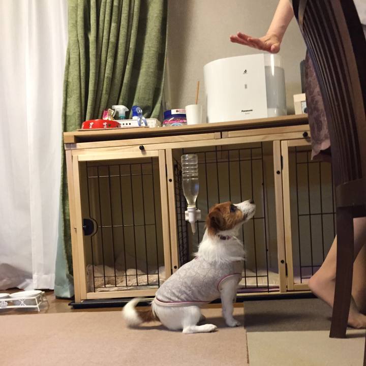 4c63728f f5c8 4b3f 8048 59cf970179b8