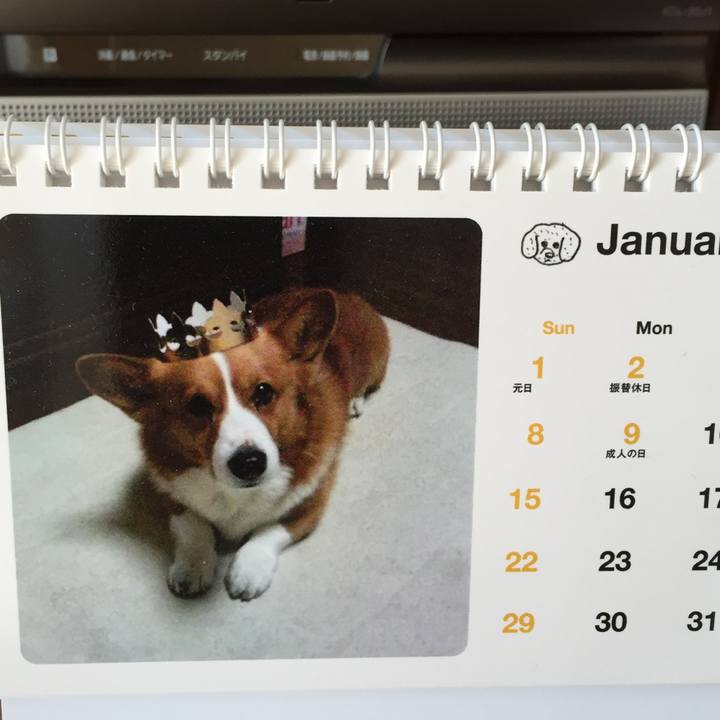 4c6380cf c7a0 4bec af29 ecdcd42743db