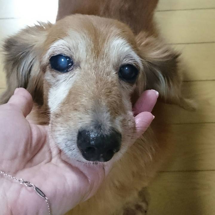 4c6386fc ecbd 4d73 a331 9bc16902cc92