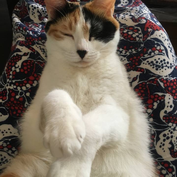 4c639ff2 d314 4756 8a9d 1935eb73f06b