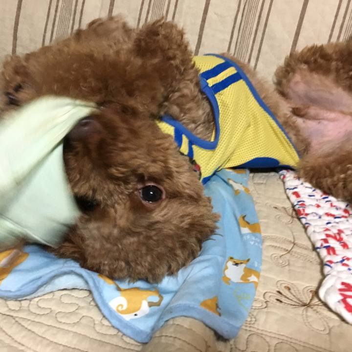 4c63b9ff 3d66 4c40 867e a896fe4066d6