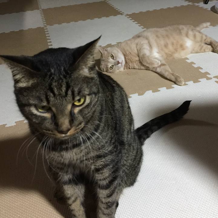 4c63bc5f 3766 4ef5 990b 2df12f6cfc0d