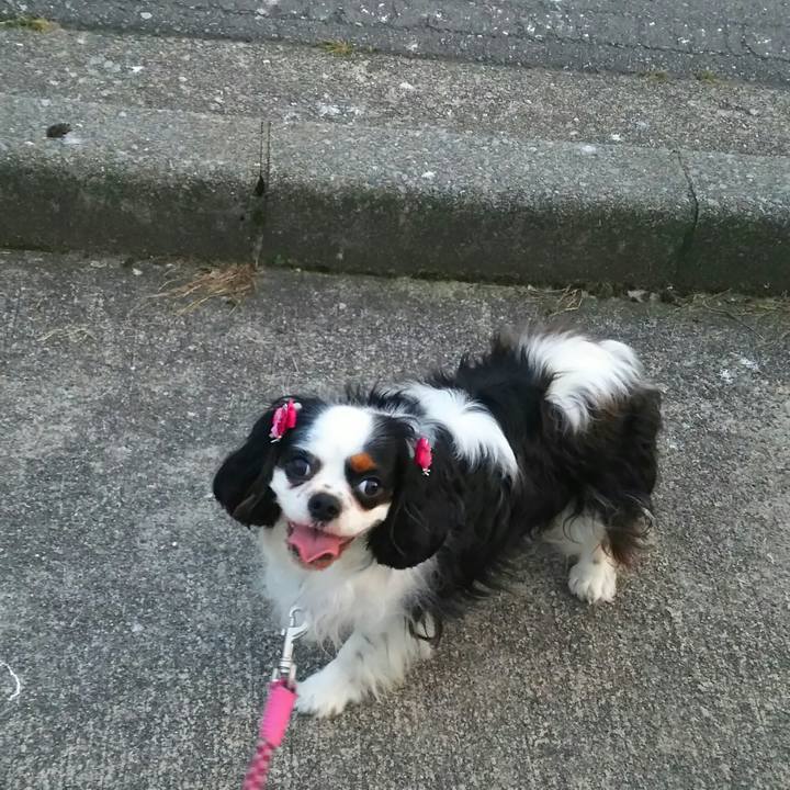 4c6406b0 1ec8 4d71 8438 aa1ad3f76e4e