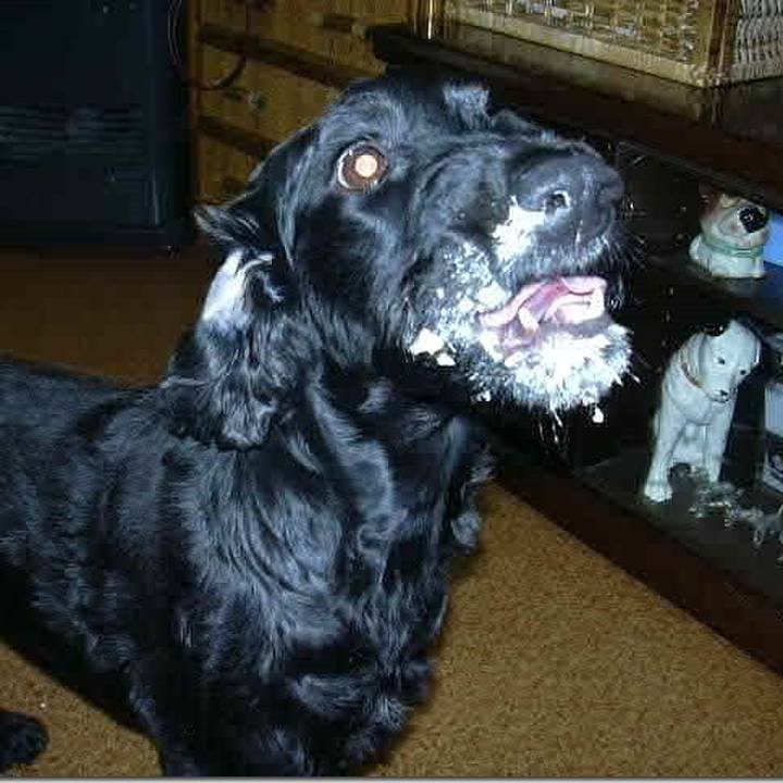 4c640e7b 3b15 417e a240 269898e2f268