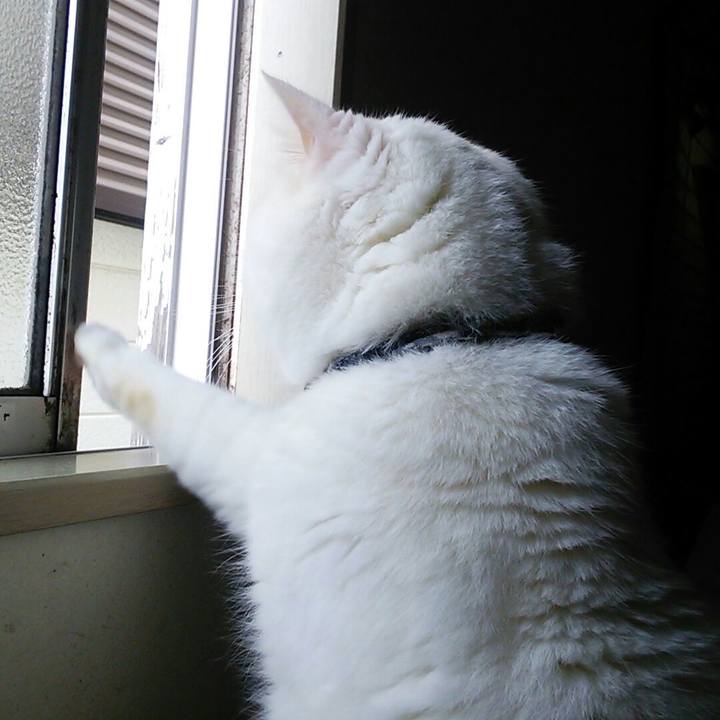 4c646fd1 e739 489f be8c dc608e819566