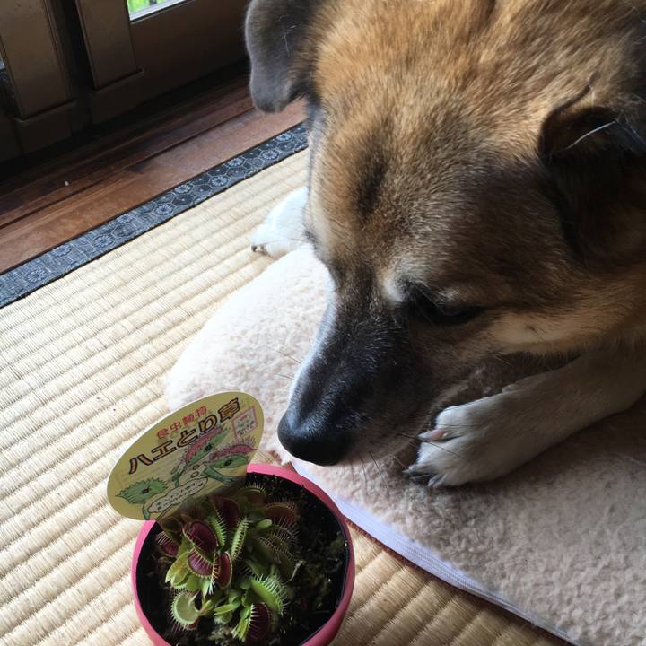 4c64e549 38b1 4e27 b3b5 2d6a40456509