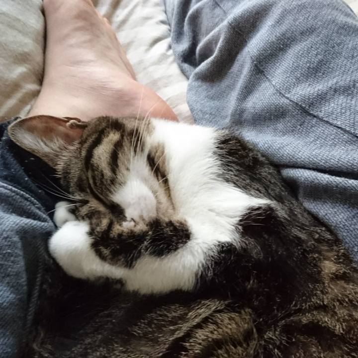 4c652605 c5bc 4fad b5c2 5de663b7a27b