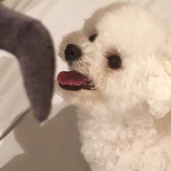 4c652776 c012 4d02 b0b0 3bfa65c71098