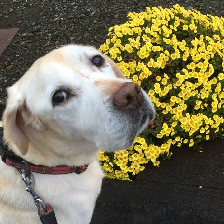 4c65bfca 5305 4ddc ac8c faa2f2ec3d9b