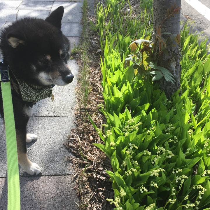 4c665936 0c82 4ba1 827a ddabac2020bb