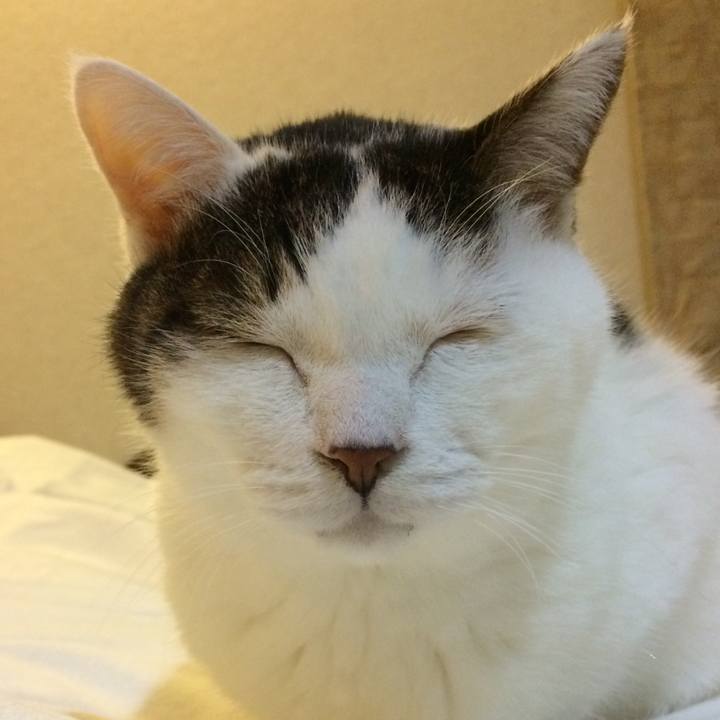 4c666cb9 a2cb 4add 9ad4 beb57d890b3f