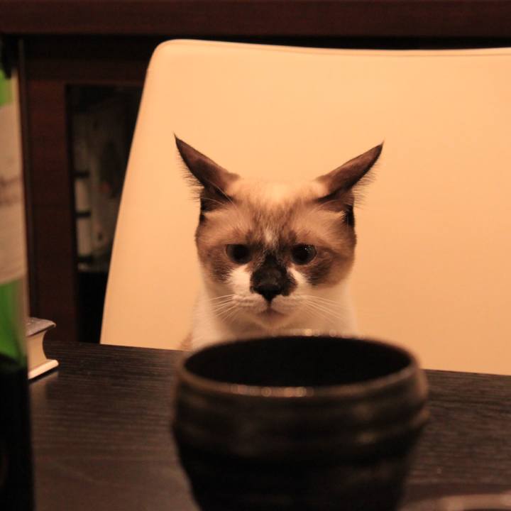 4c66aa0b 394b 4f69 a37c 36321dc9ea0a