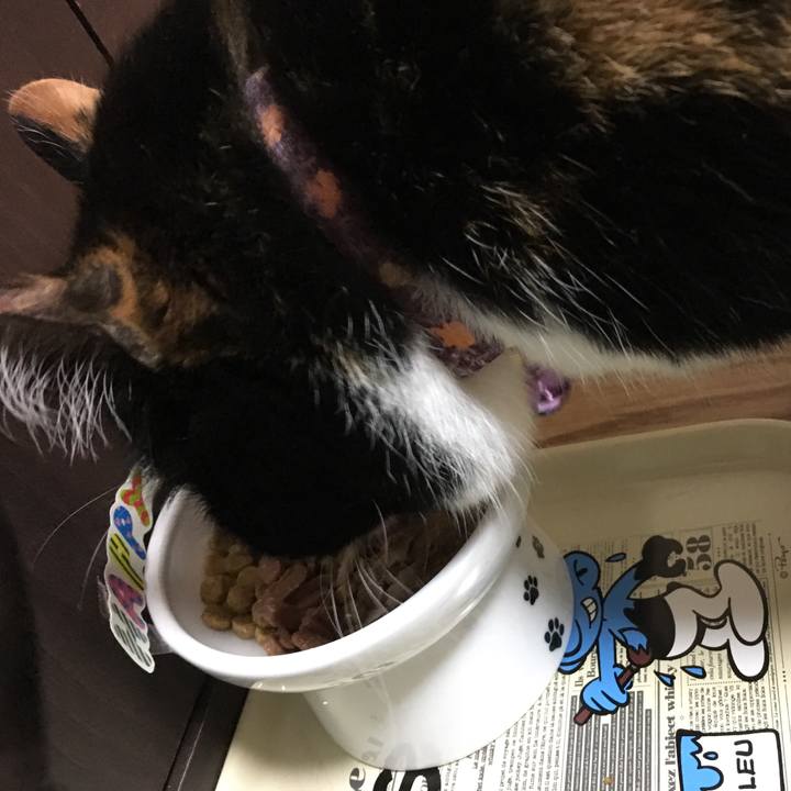 4c68639b d1d9 4c62 83bb a07d80060ea6