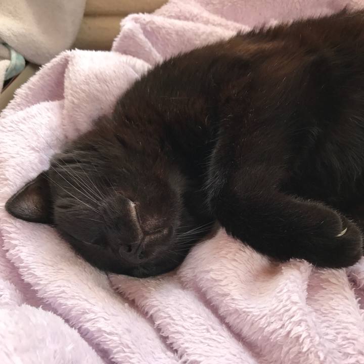 4c68cd1d 9467 4be2 854b 37460e3ceb75