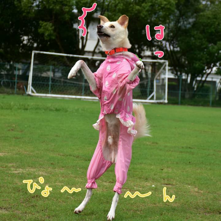 4c68d4a7 a1d1 4576 863c 4ad57b2e9da1