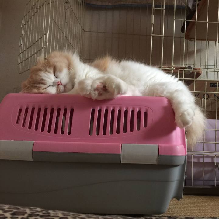 4c692eb6 8067 4883 bb25 9b59eabe10ad