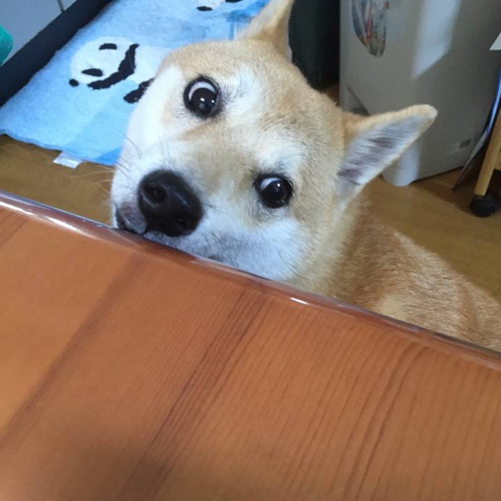 4c694049 8c49 4e81 9d68 012ad194306e