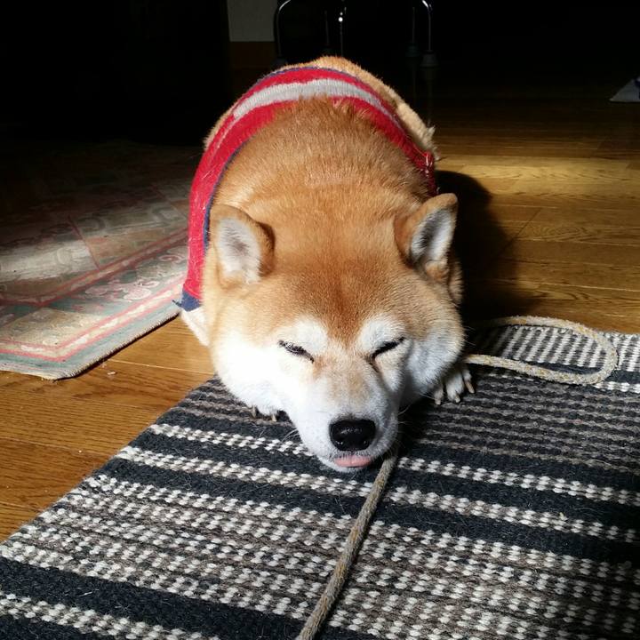 4c69ad63 8fa7 462e 8e9a 267820993617