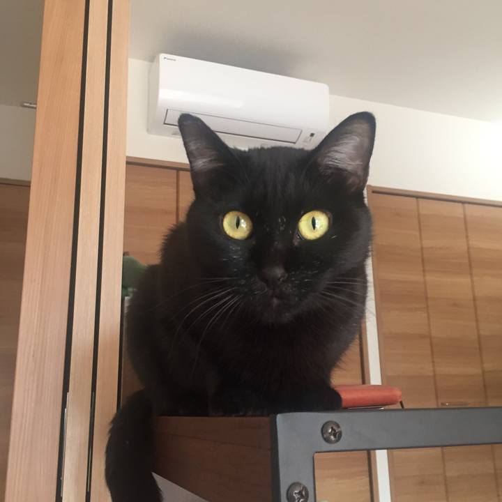 4c69ce44 01b5 4033 90d1 4e8270a28755