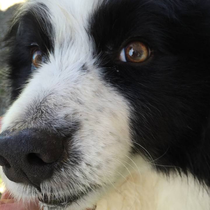 4c6a3d96 791e 4742 8850 c0a54dd878a2