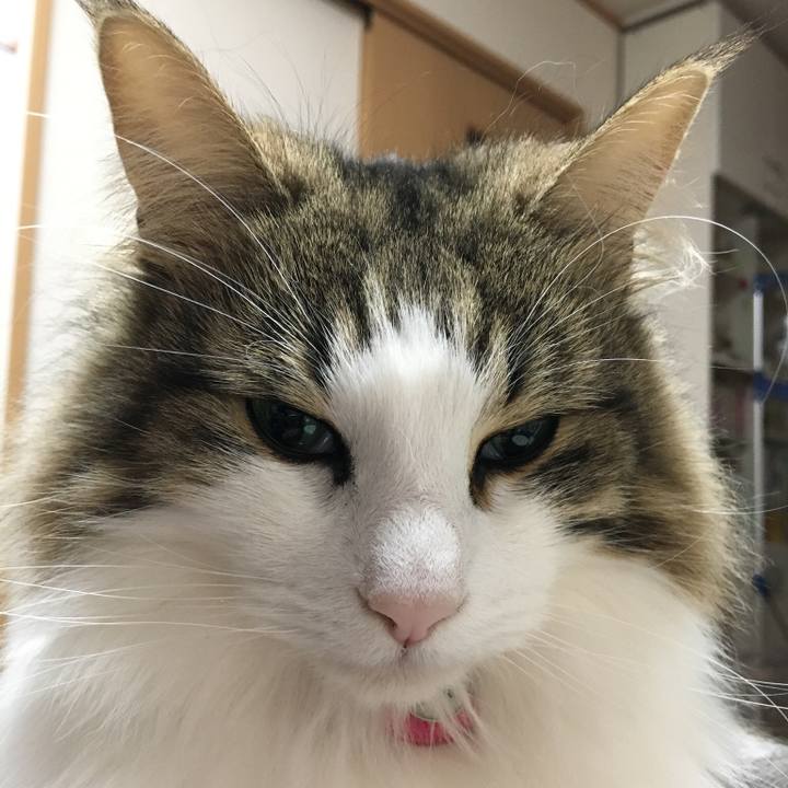 4c6a5019 41be 4056 af26 1a463e8f5b46