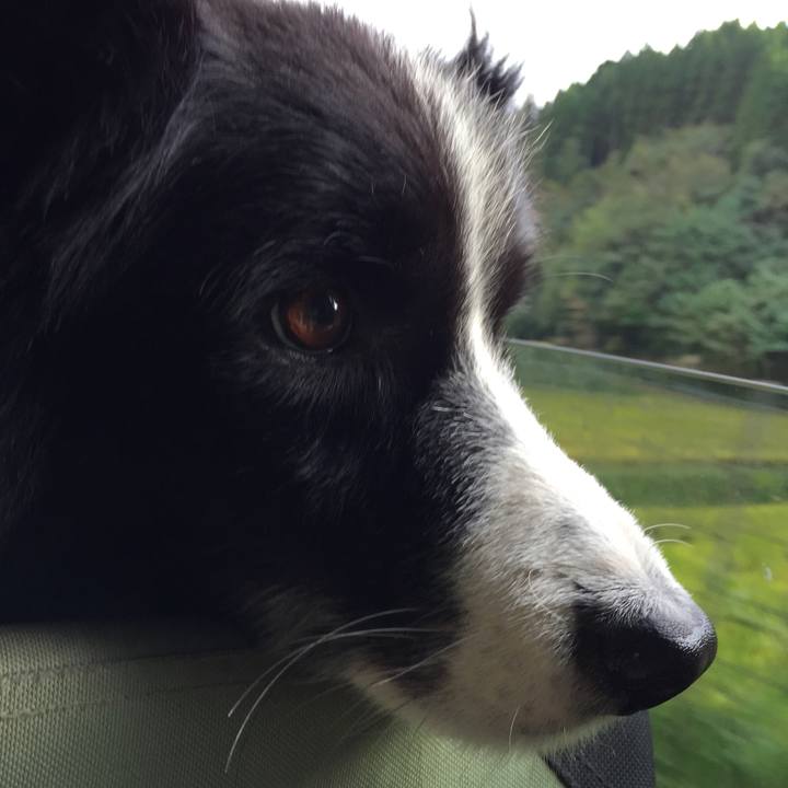 4c6b6c9b 321c 413c 8273 764cf0f302f9