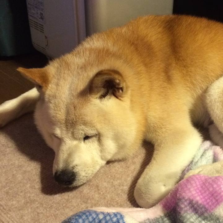 4c6c6666 5175 42b9 8868 4e6bcc9d9702